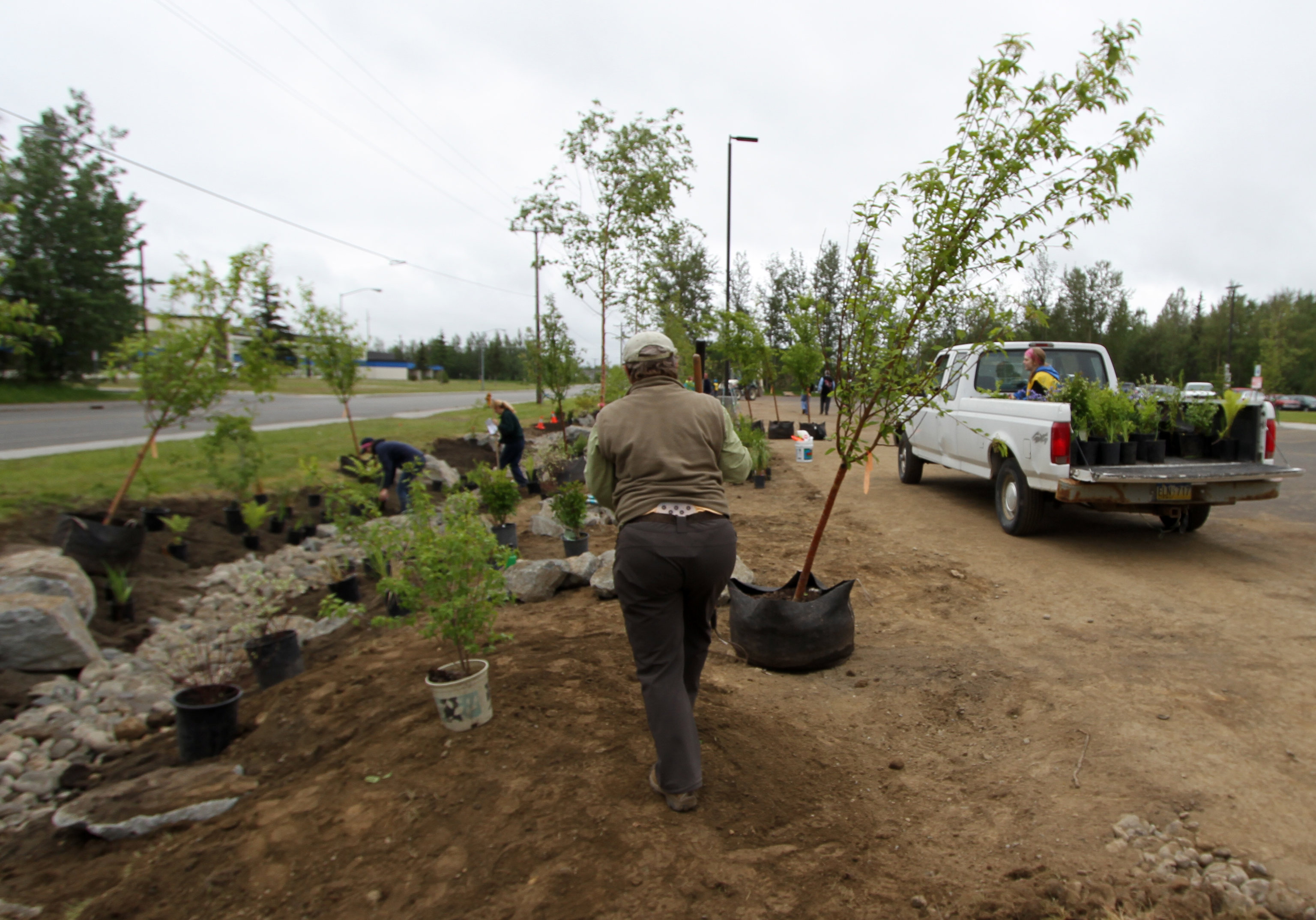 an image of different aspects of green infrastructure