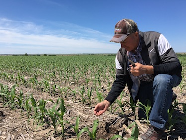 Farmer Marlin Murdoch in one of his no-till fields near Orleans, NE.