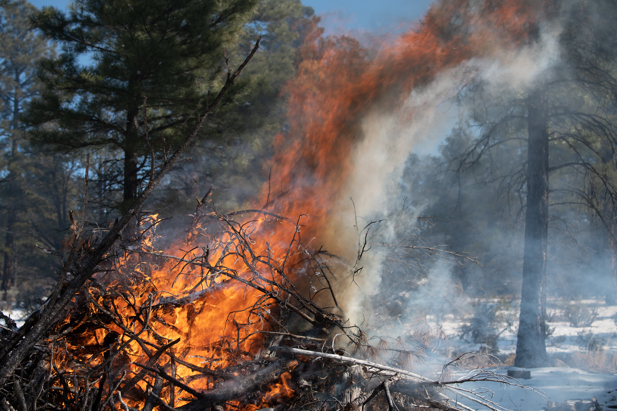 A pile burning amidst snow in the forest