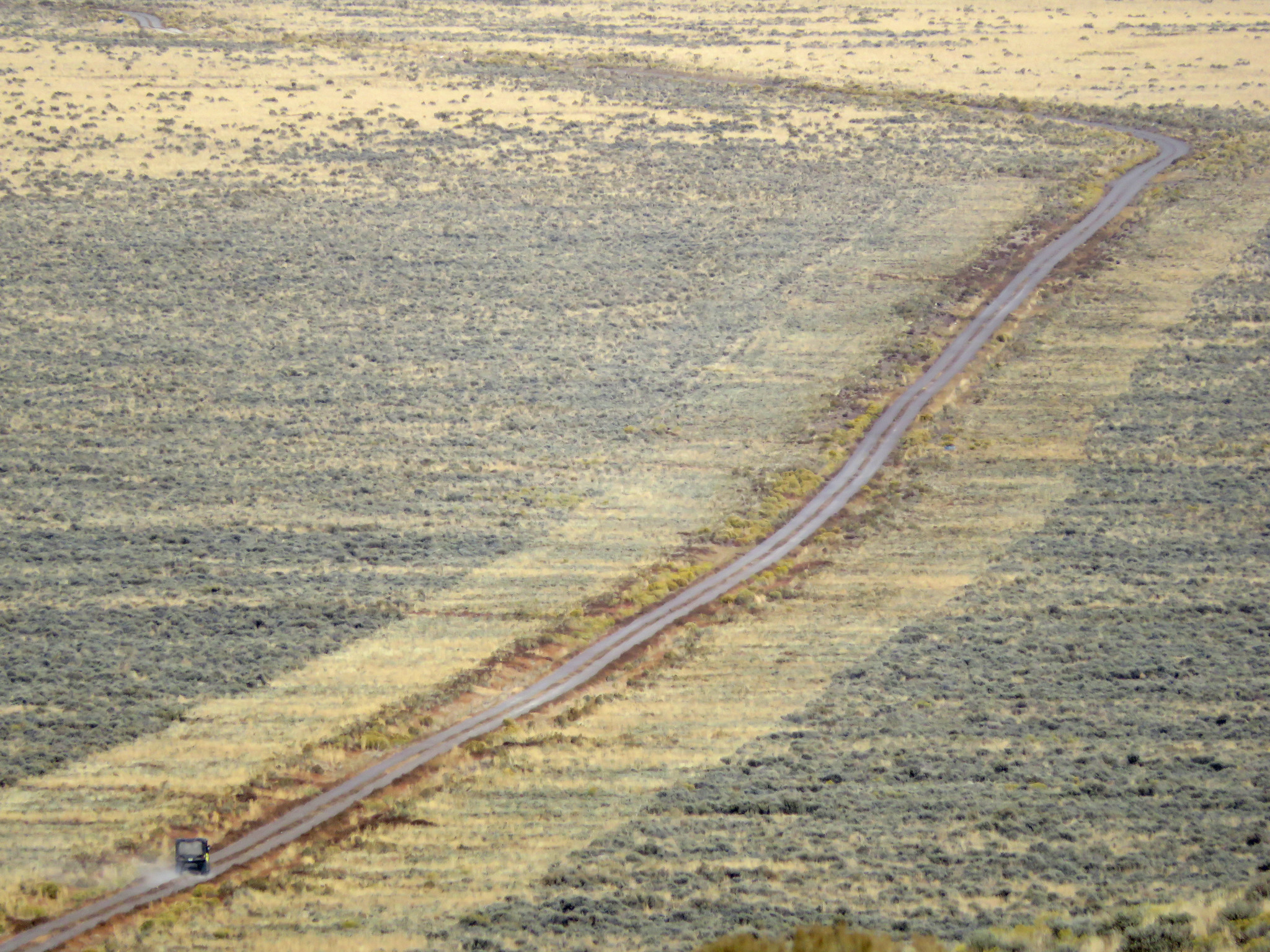 A fuel break bisects sagebrush steppe in southern Idaho.