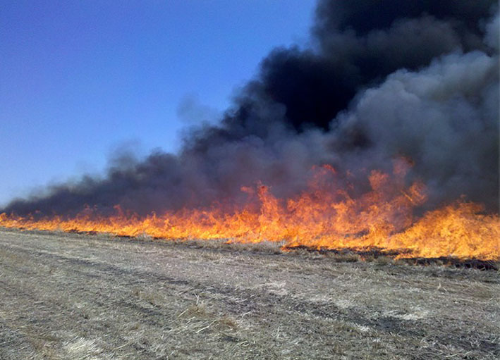 Wildfire meets a fuel break and stops. 