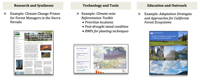 Climate Hub Forest Products