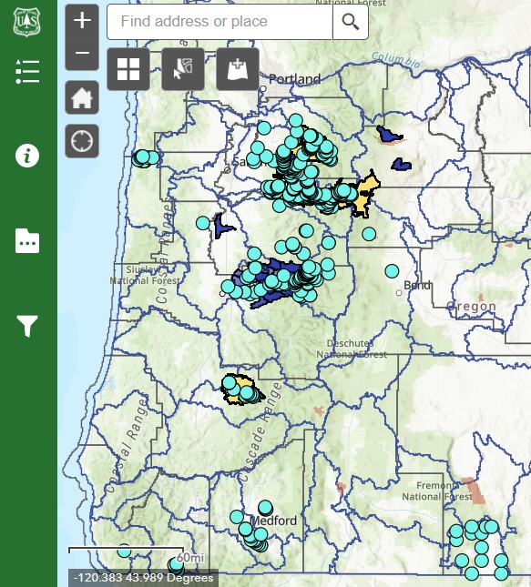 An image of the post-fire collaborative map.