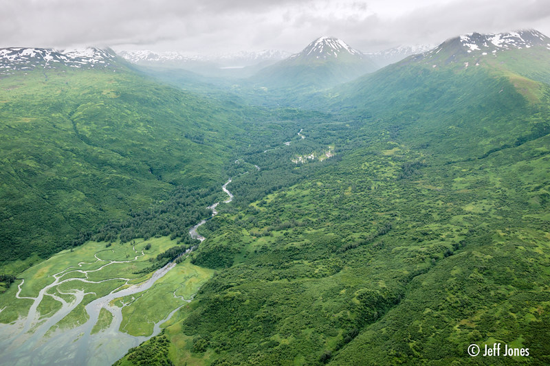 Mountains in the background, capped lightly with snow and a stream starting in the distance snaking through a green valley towards a multi-channeled estuary in the foreground.