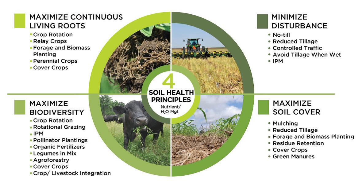 Soil Health Principles