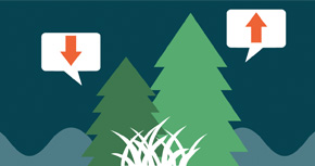 graphic representing changes in forests and grasslands - climate change effects on forests and grasslands module