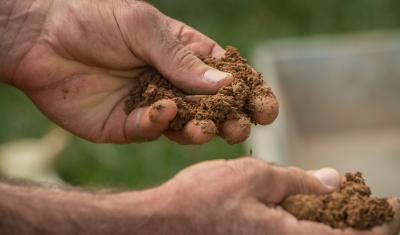 Hands of a person feeling soil 20 minutes after a rain simulator applied 2 inches of water. Photo credit USDA NRCS