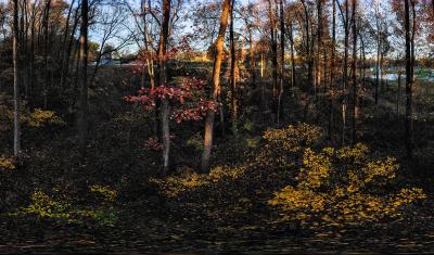 Aerial view of fall colors in Maryland, on Nov. 3. 2018. 