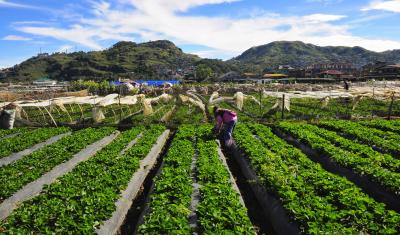 Man Working On Agricultural Field Against Sky