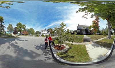 Looking at tree pits on Brighton Street in Worcester, MA