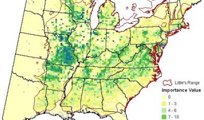 Map of current white oak distribution from Tree Atlas