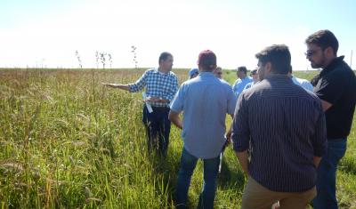 group of people looking at field