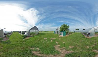 Delaware State University's Tunnel Houses