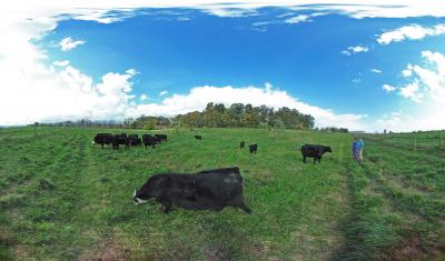 Southern Pasture at Dickinson College Farm