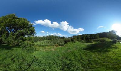 Hill top view of McConnell Berry Farm