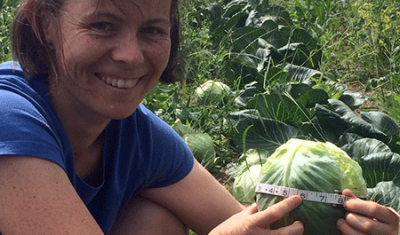 Katie measures cabbage in research trial