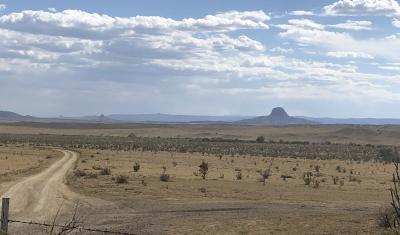 Rangeland in drought, Colorado Plateau 2020