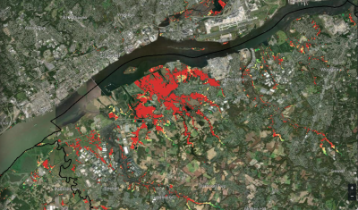 NJ Forest Adapt Coastal Forest Dieback Layers