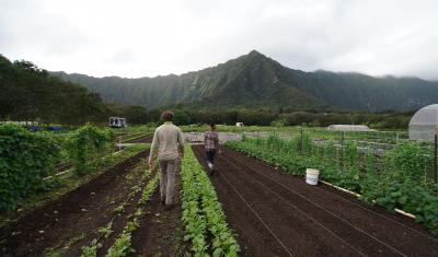 USDA Improves Insurance Programs For Farmers, Ranchers