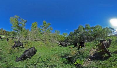 Angus Glen 360 Image