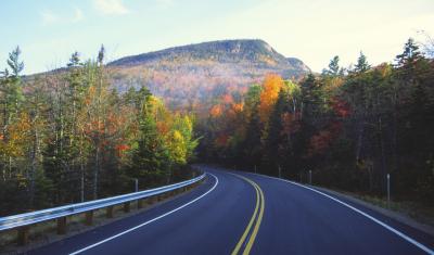 autumn road view