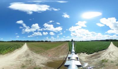 A view at the University of Delaware's Warrington Irrigation Research Farm