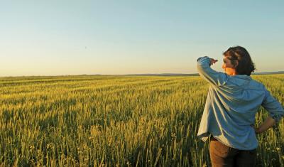 A graduate student from the University of Maine overlooks her research field in the setting sun