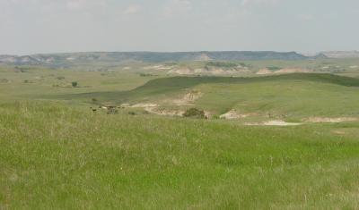 Photo by Matt Reeves, Little Missouri National Grasslands, ND