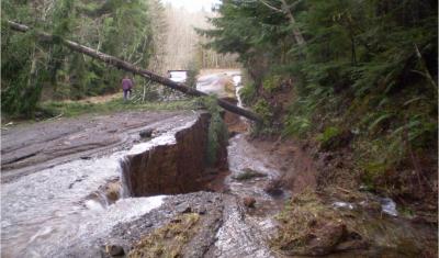 Ditch scour at the USFS Olympic National Forest 