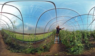 Andy Radin in tunnel house