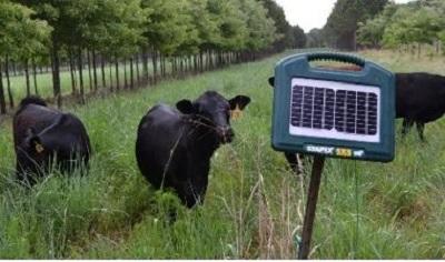 CEFS Agroforestry Research Unit Goldsboro, NC