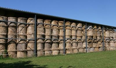 Stored hay bales