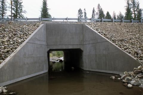 Stream restoration project