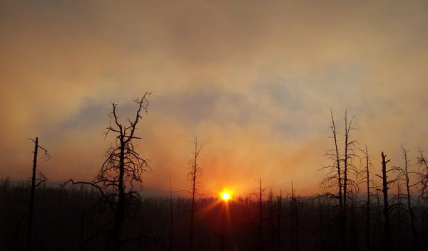 Whitewater-Baldy Fire by Brandon Bickel