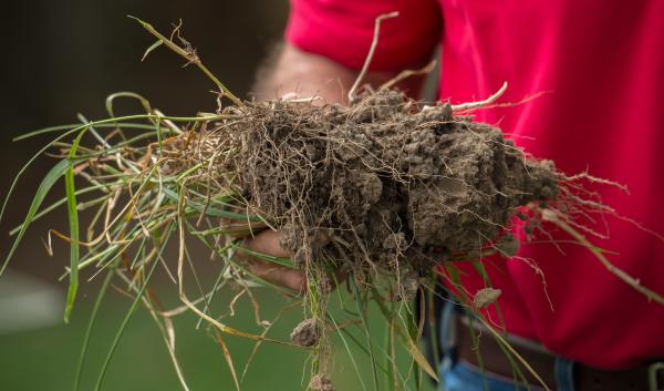 U.S. Department of Agriculture (USDA) Natural Resources Conservation Service (NRCS) Virginia Cropland Agronomist Chris Lawrence holds moist healthy soil, while he talks about why healthy soil is important.