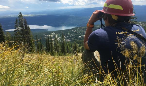 A member of the silviculture crew scans the top of the trees with binoculars to see how many cones have been produced this year in performing whitebark pine cone assessment on the top of Big Mountain, Flathead National Forest, Montana. USDA Forest Service photo by Erika Williams.