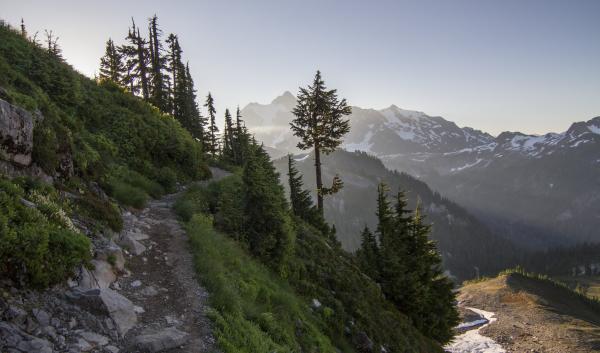 A trail leads up a shaded path on a mountain. Behind are a glimpse of snowy peaks, bathed in sunlight