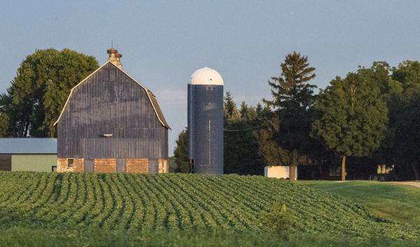 farm view from road