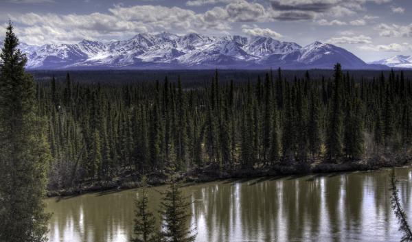 Lake with a forest and snow covered mountains in the background.