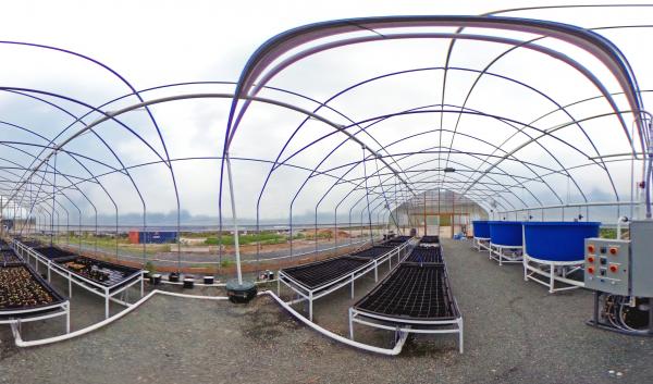 Aquaponics System at UDC