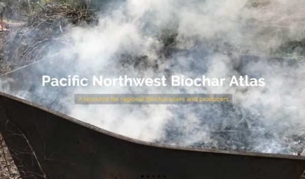 smoking biochar