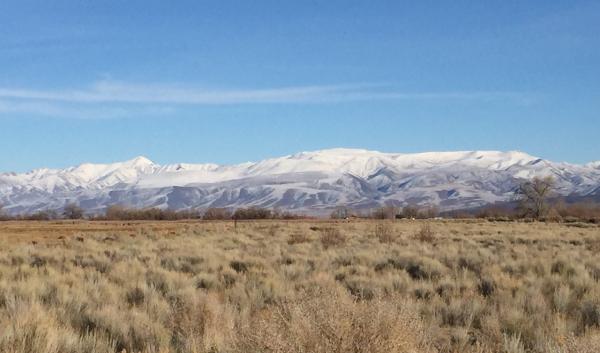 Fallon-Shoshone wetlands in drought / Native Climate