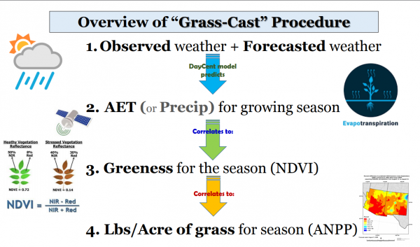 Overview of Grass-Cast Procedure