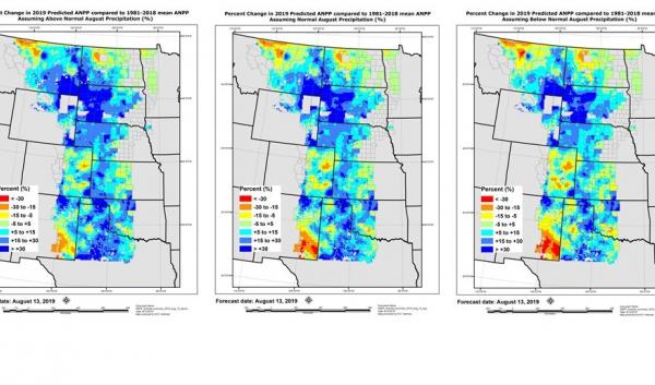 Grass-Cast growing season forecast August 13, 2019