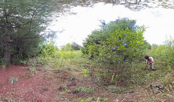 Christopher Riely, Forester from Providence Water, visits the Tunk Hill Site