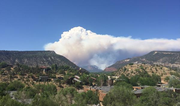 Fire in the San Juan National Forest