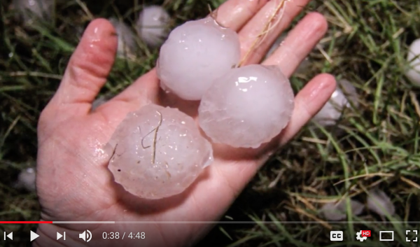 Screenshot from Farming & Climate Change: Edgewater Farm