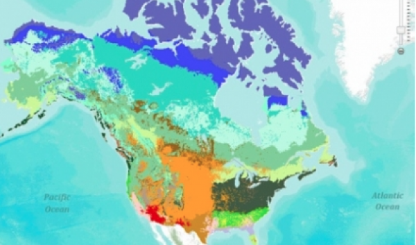 US Forest Service MC1 https://www.fs.usda.gov/ccrc/tools/mc1