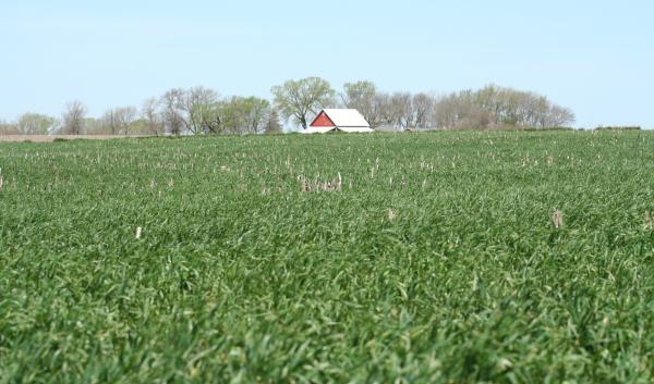 view of red barn across field