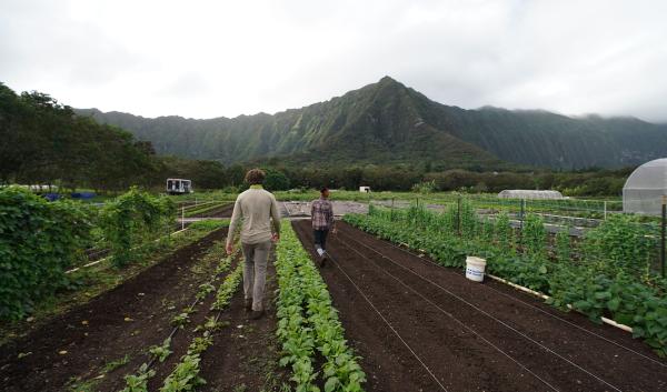 USDA Improves Insurance Programs For Farmers, Ranchers